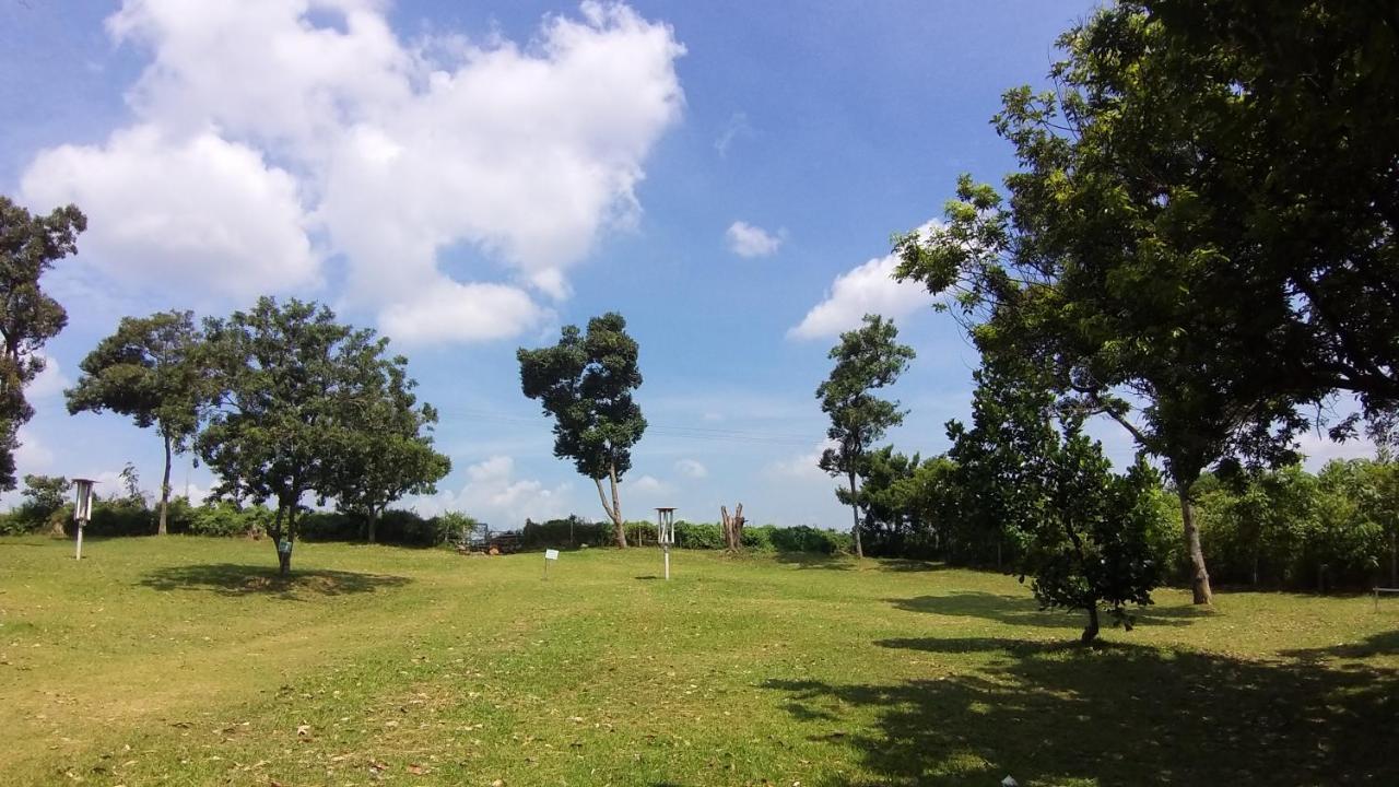 Seri Dusun Sepang Homestay & Event Space Ngoại thất bức ảnh